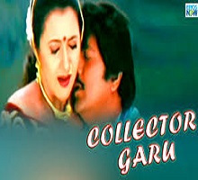 Collector Garu Songs Telugu