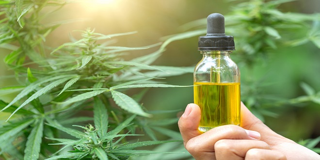 An In-Depth Look at the Health Benefits of CBD