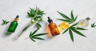 Basic Guide on How CBD Oil Works and Why It Has Become So Popular