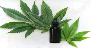 The Complete Guide to CBD Oil