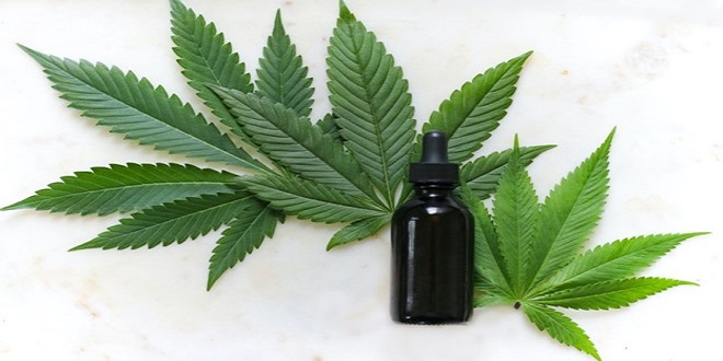 The Complete Guide to CBD Oil