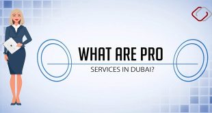Everything You Need To Know About PRO Services In Dubai