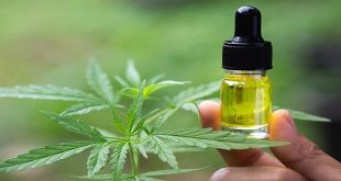 What is CBD Exactly what is CBD Oil