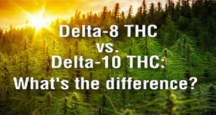 Delta 10 Vs Delta 8 What's the Difference
