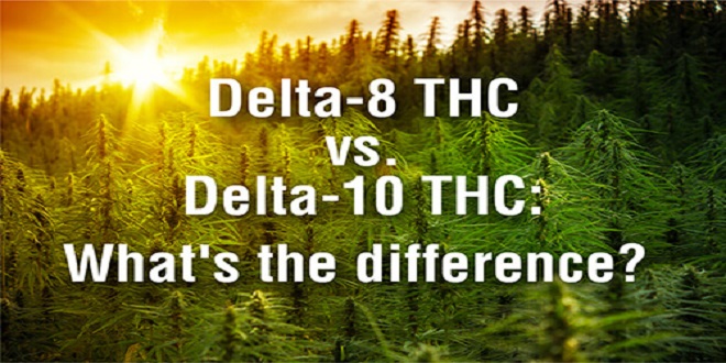 Delta 10 Vs Delta 8 What's the Difference