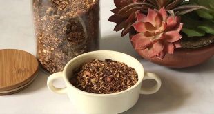 Homemade Chocolate Granola Recipe and 9 Granola Benefits