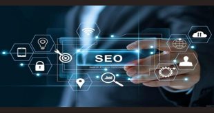 How Does SEO help in Business Growth?