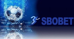 How to Choose the Best Sbobet Online Casino