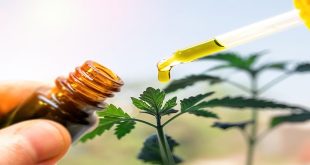 How to Take CBD Oil for Sex
