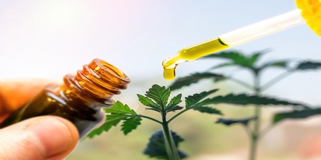 How to Take CBD Oil for Sex