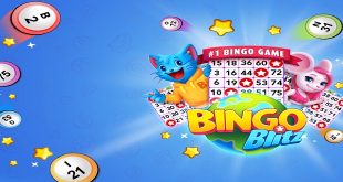 Joining an Online Bingo Site: What Bonus Offers Should You Expect