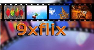 Step-by-Step Instructions to Use The 9xflix Website
