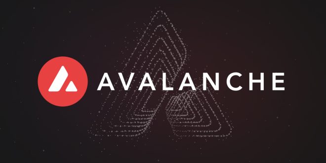 Avalanche: High-Performance and Secure Blockchain Platform