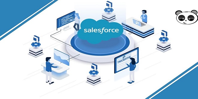 Optimal Strategies for Utilizing the Salesforce Lead Object