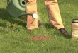 How to Prevent Lawn Burn from the Summer Heat