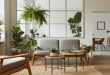 Top 10 Indoor Plants for Living Rooms